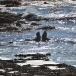 Cambria2010_254 ()
